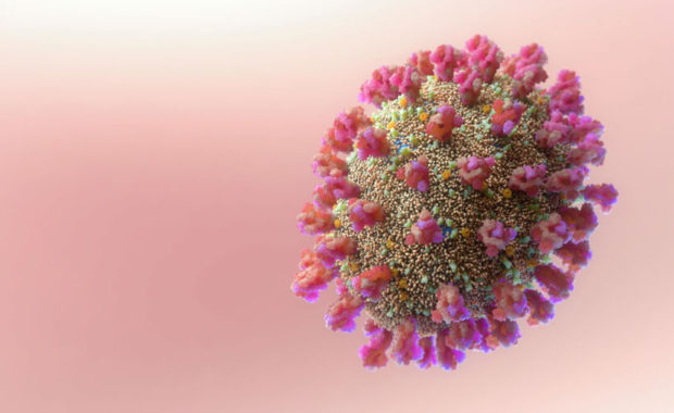 jelang-pemilu-2024-terjun-ke-panggung-politik-putra-wabup-tala-maju-jadi-bacaleg-dari-partai-ini.jpg Jelang Pemilu 2024 – Terjun ke Panggung Politik, Putra Wabup Tala Maju Jadi Bacaleg dari Partai Ini, Deempatbelas.com