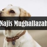 NIAT DAN TATA CARA SALAT TARAWIH BERJAMAAH ATAU SENDIRIAN