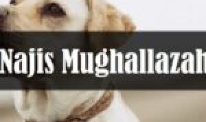 Niat dan Tata Cara Salat Tarawih Berjamaah atau Sendirian