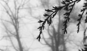 Roberto Mancini Beri Saran kepada Mateo Retegui Jelang Hadapi Malta