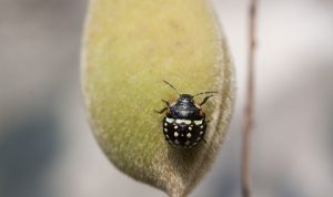 Stefan de Vrij Resmi Mundur Dari Pusat Latihan Timnas Belanda