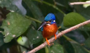 sering-membuat-orang-gemas-zodiak-ini-memiliki-sifat-imut-yang-alami.jpg Sering Membuat Orang Gemas, Zodiak Ini Memiliki Sifat Imut yang Alami