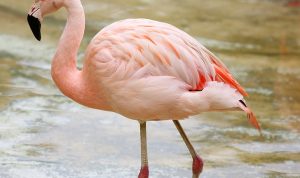 Hampir 10 Juta Subscriber, Windah Basudara Minta Subscribernya Unsubs Channel Miliknya!