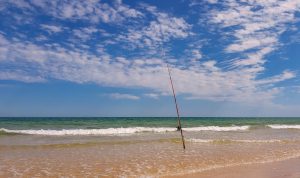 Canna Bali Beach Club Ajak Pengunjung Berterima Kasih Pada Alam dengan Berbagai Aktivitas Menarik