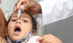 Tren Token Teratas Tahun ini Didominasi Binance Coin (BNB), Shiba Inu (SHIB), dan RenQ Finance (RENQ)