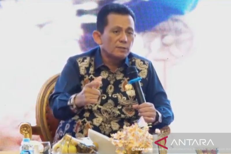 Gubernur Ansar paparkan kunci sukses tingkatkan investasi, Deempatbelas.com