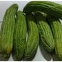TANPA BAHAN TAMBAHAN, INI CARA MENYIMPAN PARE AGAR AWET DAN SEGAR SELAMA BERBULAN-BULAN