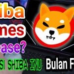 3 PENDORONG HARGA SHIB BULL RUN SEBELUM 2024