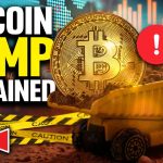 MENGAPA HARGA CRYPTO SELALU BERUBAH DRASTIS?