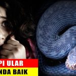 5 ARTI MIMPI MELIHAT ULAR KOBRA YANG SERING JADI KENYATAAN