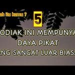 5 SAHABAT YANG COCOK UNTUK ZODIAK LIBRA YANG MEMESONA