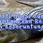 9 ARTI MIMPI MELIHAT BUAYA YANG BERKAITAN DENGAN MASA DEPAN