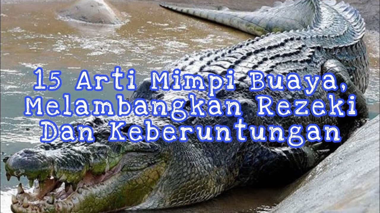 9 Arti Mimpi Melihat Buaya yang Berkaitan dengan Masa Depan, Deempatbelas.com