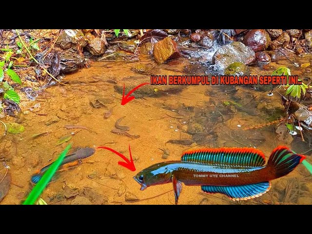 Cianjur : Wisata Gunung Pabesan, Bebas Label Tanpa Tiket Masuk, Deempatbelas.com
