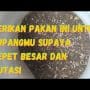 TIPS JITU HINDARI SCAM, JANGAN SAMPAI REKENINGMU TERKURAS! | FIMELA TIPS UPDATE