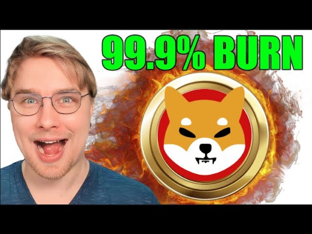 Token Shiba Inu Bertahan, RENQ Cetak Presale US$15 Juta, Deempatbelas.com