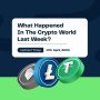 ZAMBIA MENGUJI REGULASI KRIPTO DI TENGAH BERKEMBANGNYA ETHEREUM, POLYGON DAN SIGNUPTOKEN.COM