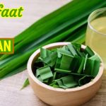 5 MANFAAT MENGGUNAKAN DAUN PANDAN UNTUK KECANTIKAN KULIT WAJAH