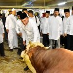 PEMPROV SUMUT SEBAR 150 EKOR SAPI KURBAN DI SELURUH SUMUT