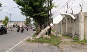 IMG20230712154358-1-1024x1024