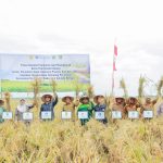 BANK INDONESIA SUMUT BERHARAP PRODUKSI BERAS GAPOKTAN HARAPAN MENINGKAT