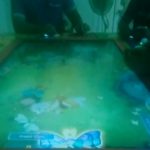 LAPOR PAK KAPOLSEK!! ADA JUDI IKAN IKAN DI DESA LAU MULGAP DAN SOLU KECAMATAN MARDIDING 