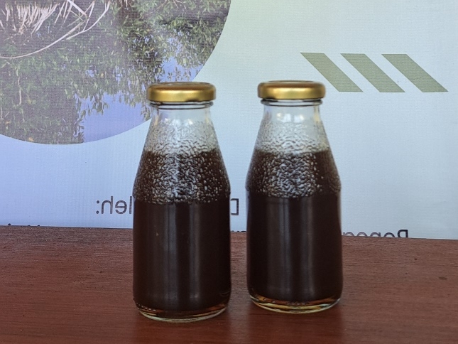 Tim PKM Program Studi Biologi Undhira Melakukan Pendampingan Pembuatan Minuman Herbal Berbahan Dasar Mangrove Kepada POKLAHSAR Mina Lestari, Deempatbelas.com