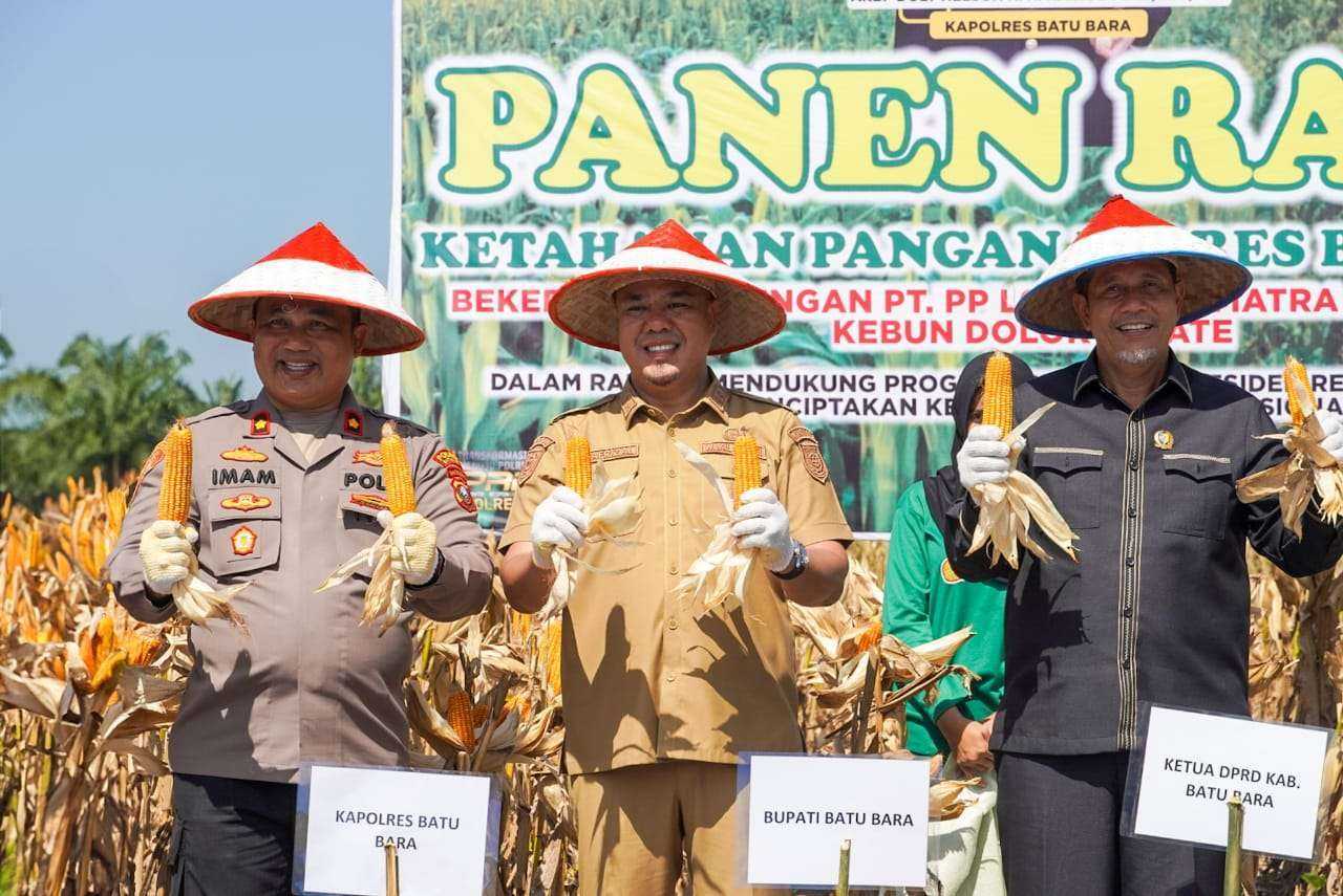 Waka Polres Batubara Bersama Forkopimda dan PT Lonsum Dolok Estate Panen Raya Raya Jagung, Deempatbelas.com