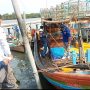 KSOP UTAMA BELAWAN DAN ANSI KEMBALI GELAR PENGUKURAN RATUSAN SAMPAN NELAYAN BAGAN DELI