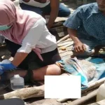 NELAYAN DI LABURA DITERKAM BUAYA, ALAMI LUKA LEBAR DI PAHA