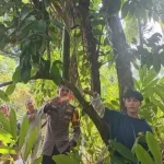 TAK JADI BERANGKAT SEKOLAH, SISWA DI NIAS BARAT DITEMUKAN GANTUNG DIRI