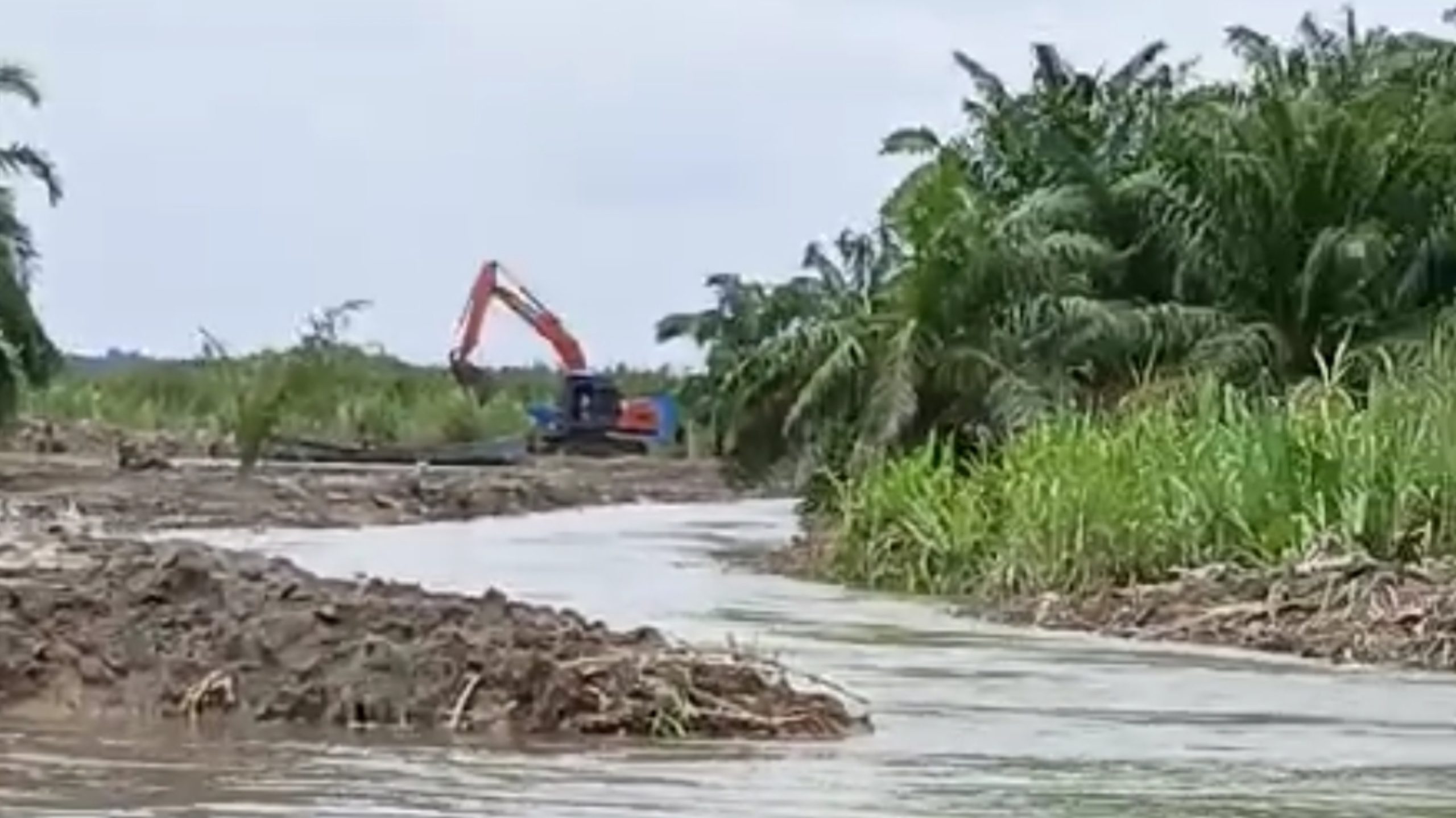 2025101820064921 Harapan Jadi Petaka, Tanggul Jebol, Sawah Tenggelam, Warga Menangis: Proyek Tanggul BBWS Sumatera, Deempatbelas.com