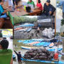 DIGITALISASI PENGELOLAAN SAMPAH: UNDHIRA DORONG EKOWISATA MANGROVE DENPASAR LEBIH HIJAU DAN EFISIEN