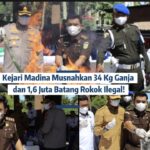 KEJARI MADINA MUSNAHKAN 34 KG GANJA DAN 1,6 JUTA BATANG ROKOK ILEGAL!