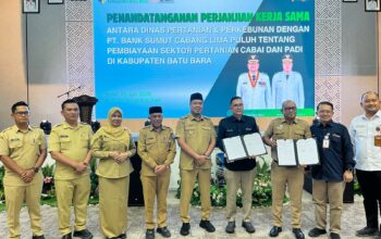 DINAS PERTANIAN BATU BARA JALIN KERJASAMA DENGAN BANK SUMUT, PERKUAT KOMODITI CABAI DAN PADI