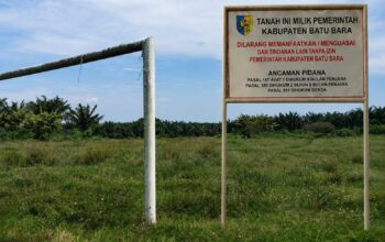 DUGAAN KETERLIBATAN KETUA PARTAI BERINISIAL “KM”,ASET PEMKAB BARU BARA DI SULAP JADI LADANG UBI DUGAAN KETERLIBATAN KETUA PARTAI BERINISIAL “KM”,ASET PEMKAB BARU BARA DI SULAP JADI LADANG UBI
