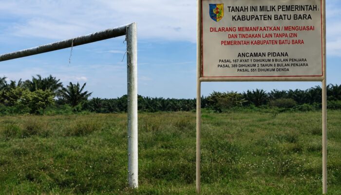 DUGAAN KETERLIBATAN KETUA PARTAI BERINISIAL “KM”,ASET PEMKAB BARU BARA DI SULAP JADI LADANG UBI 