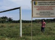 DUGAAN KETERLIBATAN KETUA PARTAI BERINISIAL “KM”,ASET PEMKAB BARU BARA DI SULAP JADI LADANG UBI DUGAAN KETERLIBATAN KETUA PARTAI BERINISIAL “KM”,ASET PEMKAB BARU BARA DI SULAP JADI LADANG UBI