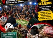 WARGA RESAH, JVDI DADU KOPIOK “MADA SEBAYANG” DI DESA PERBESI KECAMATAN TIGA BINANGA KEMBALI RAMAI, APH TUTUP MATA