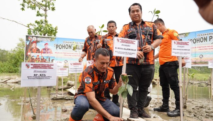 PEMUDA PANCASILA SUMUT TANAM 2.000 POHON, IJECK DORONG GERAKAN PEDULI LINGKUNGAN HINGGA DESA