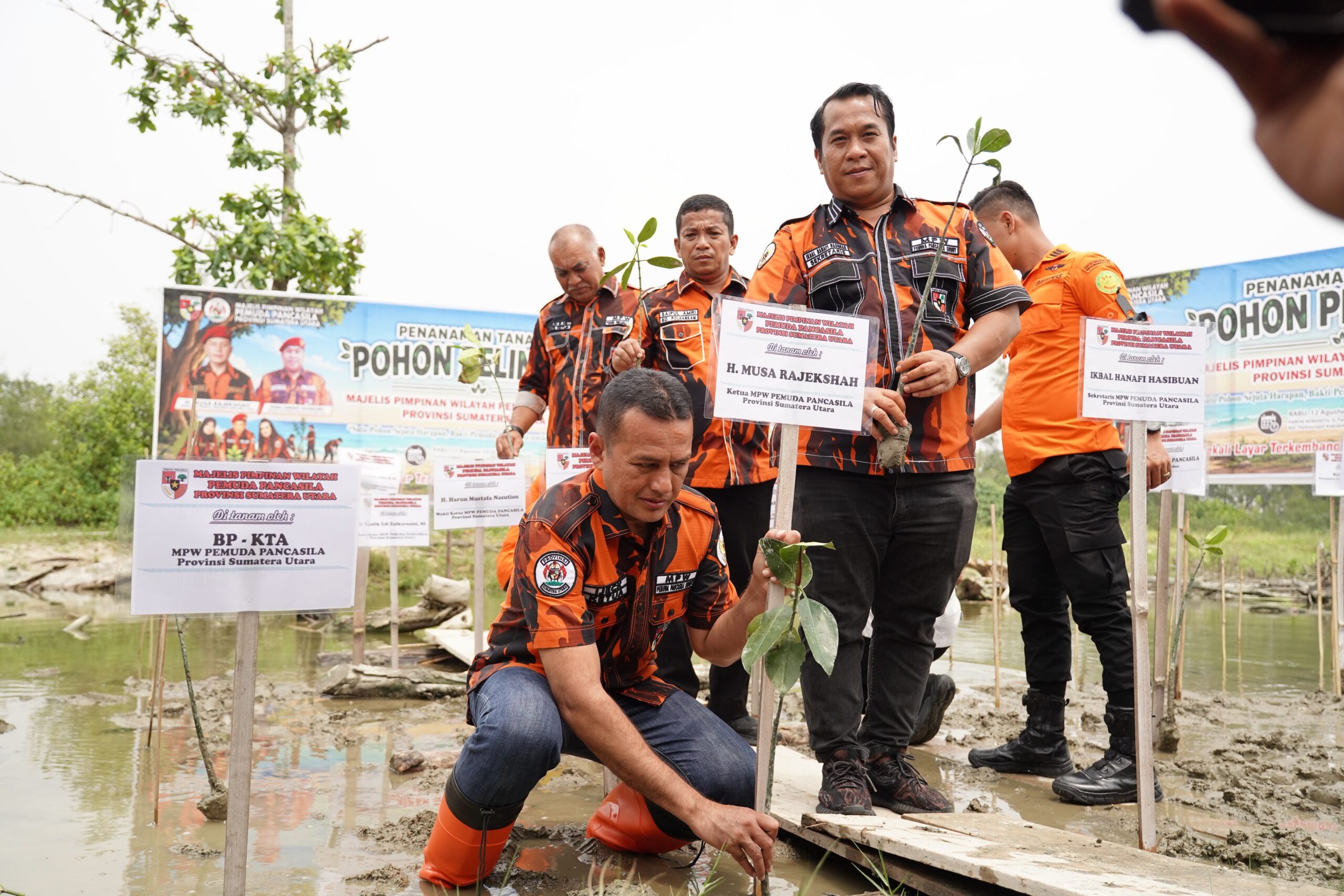 PEMUDA PANCASILA SUMUT TANAM 2.000 POHON, IJECK DORONG GERAKAN PEDULI LINGKUNGAN HINGGA DESA
