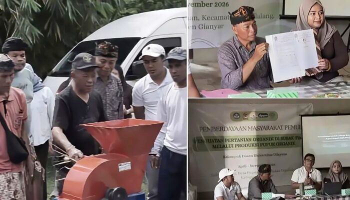 DUKUNG PERTANIAN ORGANIK, UNIVERSITAS UDAYANA DAMPINGI PETANI SUBAK TIMBUL PRODUKSI PUPUK MANDIRI