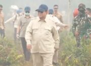 DPP HARI APRESIASI KETEGASAN PRESIDEN PRABOWO TANGANI KARHUTLA, MINTA APARAT USUT DUGAAN PELAKU PEMBAKARAN HUTAN