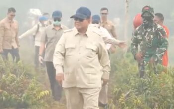 DPP HARI APRESIASI KETEGASAN PRESIDEN PRABOWO TANGANI KARHUTLA, MINTA APARAT USUT DUGAAN PELAKU PEMBAKARAN HUTAN