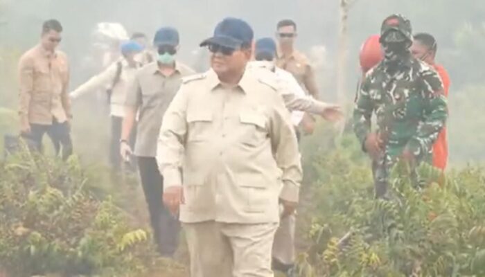 DPP HARI APRESIASI KETEGASAN PRESIDEN PRABOWO TANGANI KARHUTLA, MINTA APARAT USUT DUGAAN PELAKU PEMBAKARAN HUTAN