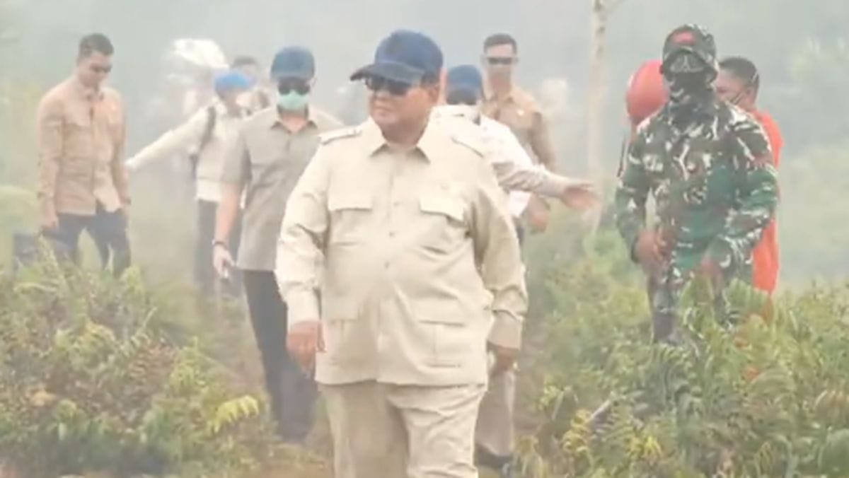 DPP HARI APRESIASI KETEGASAN PRESIDEN PRABOWO TANGANI KARHUTLA, MINTA APARAT USUT DUGAAN PELAKU PEMBAKARAN HUTAN