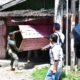 PD ANEKA INDUSTRI DAN JASA SUMUT TERTIBKAN ASET EKS BIOSKOP RIA BINJAI