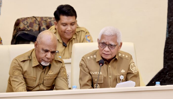 RDP DENGAN KOMISI II DPR RI, WAGUB SURYA PAPARKAN STRATEGI OPTIMALISASI ASET DAN BUMD UNTUK DONGKRAK PAD SUMUT