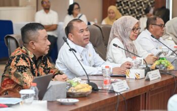 PEMPROV SUMUT, KEMENTERIAN ESDM, DAN PLN PERKUAT SINERGI KEJAR TARGET 100% LISTRIK DESA