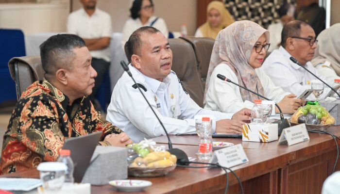PEMPROV SUMUT, KEMENTERIAN ESDM, DAN PLN PERKUAT SINERGI KEJAR TARGET 100% LISTRIK DESA
